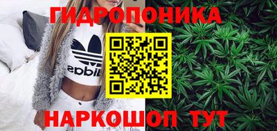 хмурый Тула
