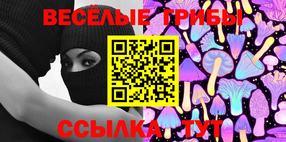 Петропавловск-Камчатский  сколько стоит  Вход с VPN  Псилоцибиновые грибы GOLDEN TEACHER 
